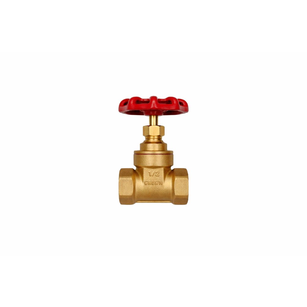 GATE VALVE 1" -KRONNEX
