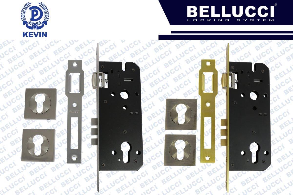 DOOR LOCK BODY